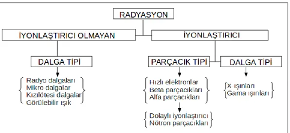 Şekil 2.8. Radyasyon çeşitleri (Korkut 2010). 