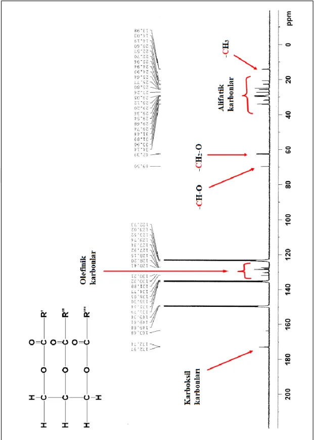 Şekil 4.3. AA-1 maddesine ait  13 C-NMR (100 MHz, C