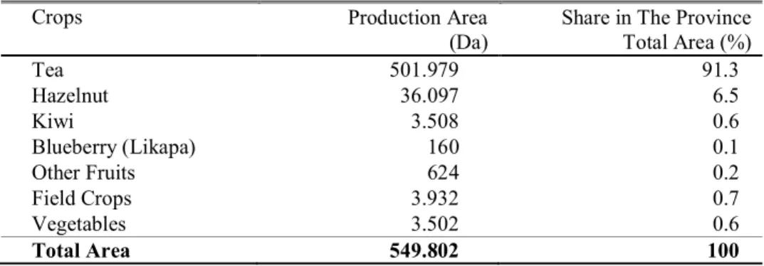 Table 4.  Vegetable Production Values in Rize (TUIK, 2013) 