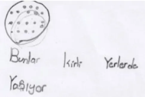 Şekil 8. Yüz figürü şeklinde 