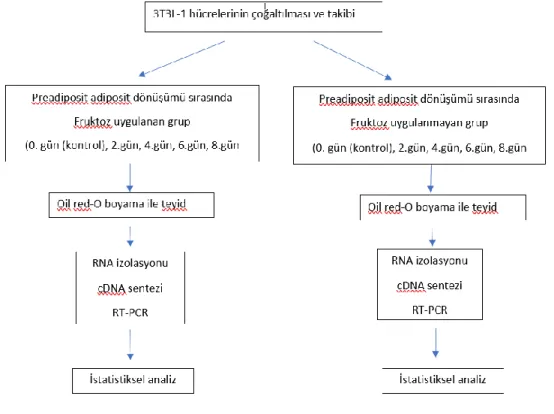 Şekil 3.1. İş akış planı 