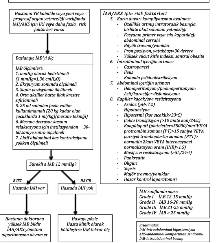 Şekil  3.  Dünya  Abdominal  Kompartman  Sendromu  Cemiyetinin  İntraabdominal  hipertansiyon/Abdominal  kompartman  sendromu  değerlendirme 