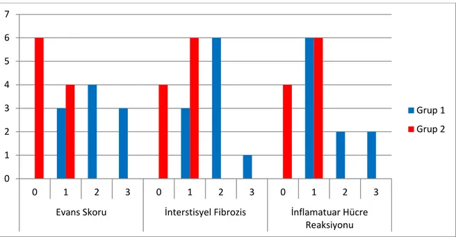 Şekil 4.1. Gruplara göre Evans skoru, interstisyel fibrozis ve inflamatuvar hücre reaksiyonu karşılaştırılması