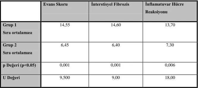 Tablo  4.2.  Grup  1  ve  Grup  2’nin  Evans  skoru,  interstisyel  fibrozis  ve  inflamatuvar  hücre  reaksiyonu  açısından istatistiksel karşılaştırılması 
