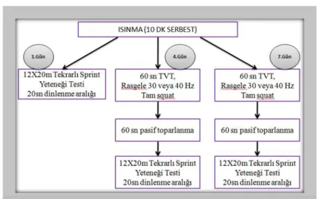 Şekil 1: Çalışmanın Deseni 