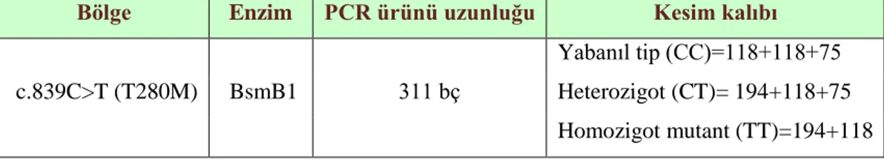 Şekil 4: 311 baz çifti uzunluğunda PCR reaksiyon ürünlerinin %2 agaroz jeldeki görüntüleri