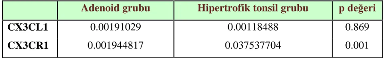 Tablo 8: Adenoid ve hipertrofik tonsil grubu, ligand ve reseptör ekspresyonları 