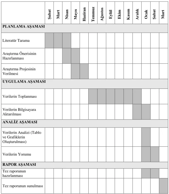 Tablo 4. Çalışma Takvimi, Şubat 2016 – Mart 2017 