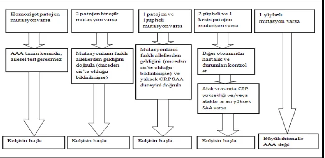 Şekil 2.3: Özen ve arkadaşlarının AAA tedavi algoritması (141) 