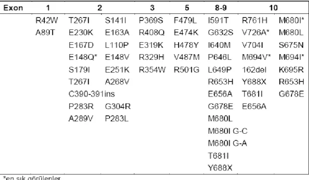 Tablo 2.1. MEFV geninde tespit edilen mutasyonlar (50). 