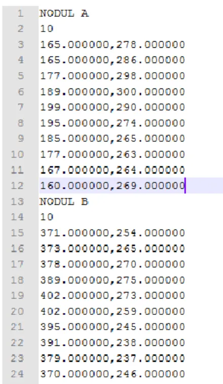 Şekil 2.2 Temsili nodül bilgisinin okunduğu dosya formatı 