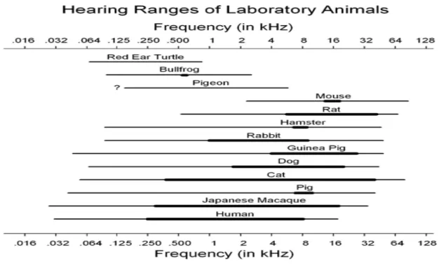 Şekil  2.1.  İnsanlar  ile  laboratuvar  hayvanlarının  işitme  aralıklarının  karşılaştırılması  (İnce  çizgiler  60  dB  SPL’de  duyulabilen  frekans  aralığını,  kalın  çizgiler  ise  10  dB  SPL’de  duyulabilen frekans aralığını göstermektedir.) (6) 