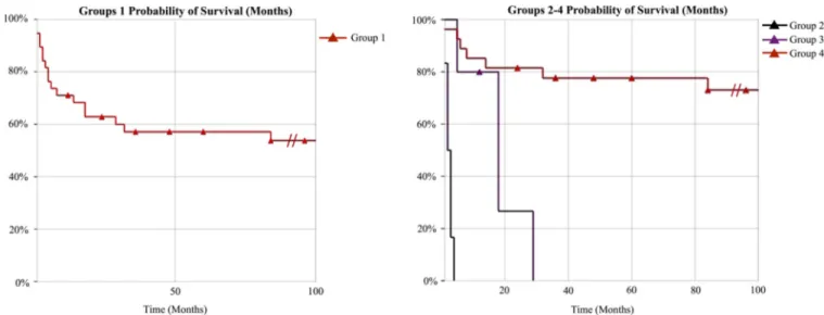 Figure 4. Kaplan-Meier survival curves for ALG1-CDG patients