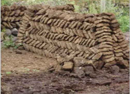 Figure 2. Dry animal dung (manure), rather than wood and charcoal, is used as source of energy.