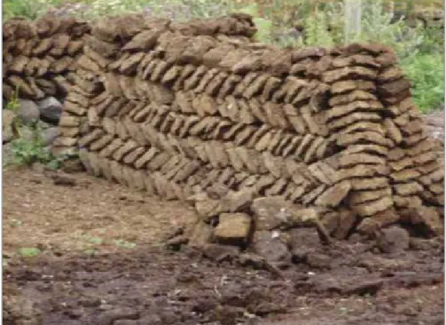 Figure 2. Dry animal dung (manure), rather than wood and charcoal, is used as source of energy.