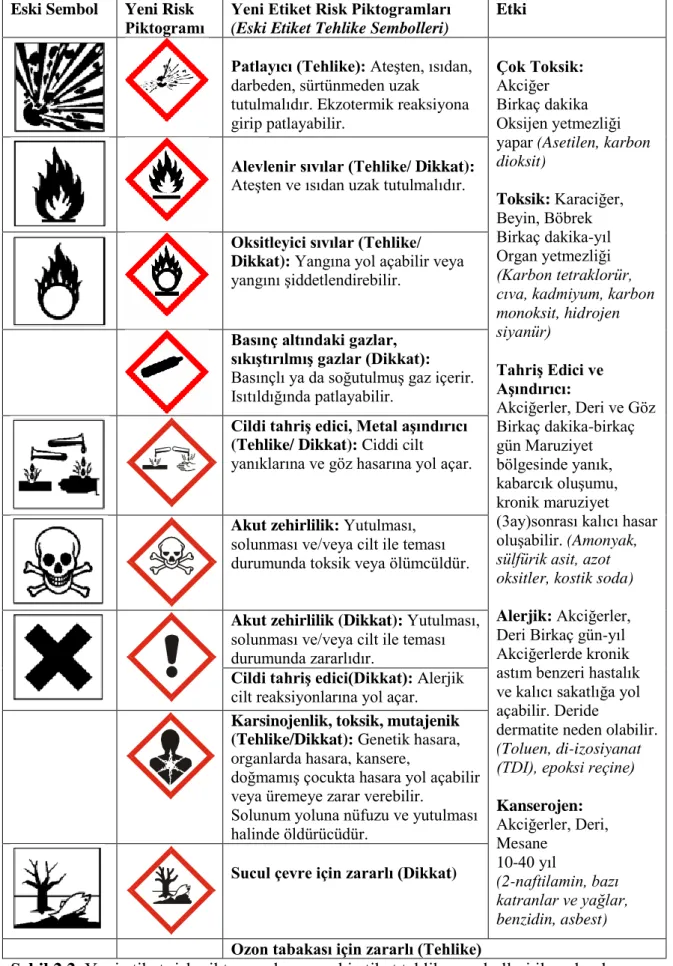 Şekil 2.2. Yeni etiket risk piktogramları ve eski etiket tehlike sembolleri ile anlamları