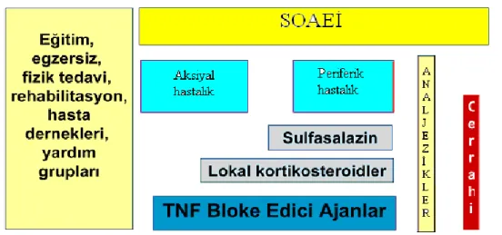 Şekil 3: Tedavi önerileri 