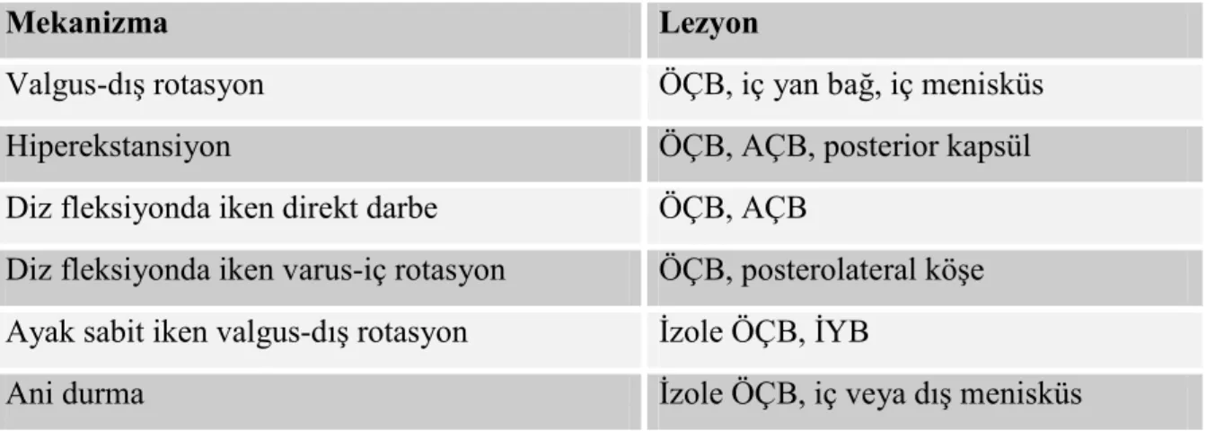 Tablo 2.2: Travma oluş mekanizması ve hasara uğrayan yapılar  