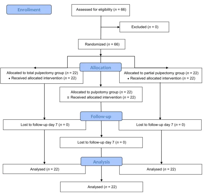 Figure 1 Consolidated Standards of Reporting Trials (CONSORT) flow diagram showing the progress of subjects at each stage of the clinical trial.