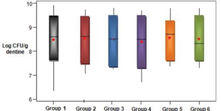 Figure 3. Microbial counts (log CFU/g dentine) in the control cavities of the six groups.