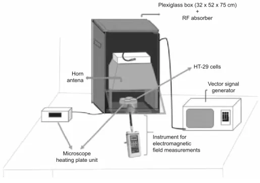 Fig. 1. RF Exposure Setup.