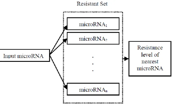 Figure 1 Pairwise model for predicting microRNA resistance to a certain chemotherapy drug 