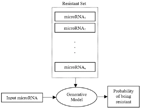 Figure 4 Generative model for predicting microRNA resistance to a certain chemotherapy drug