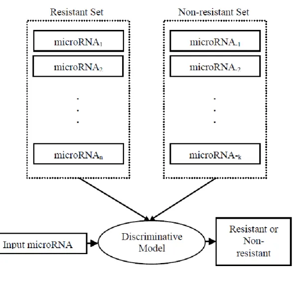 Figure 6 Discriminative model for predicting microRNA resistance to a certain chemotherapy drug 