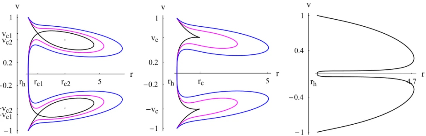 Fig. 5 Accretion of a polytropic test fluid. Contour plots of the Hamil-