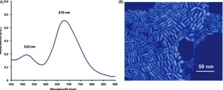 Figure 1. The GNRs synthesized of in this study. (A) A representative UV –vis absorption spectrum; and (B) a typical SEM image of the GNRs