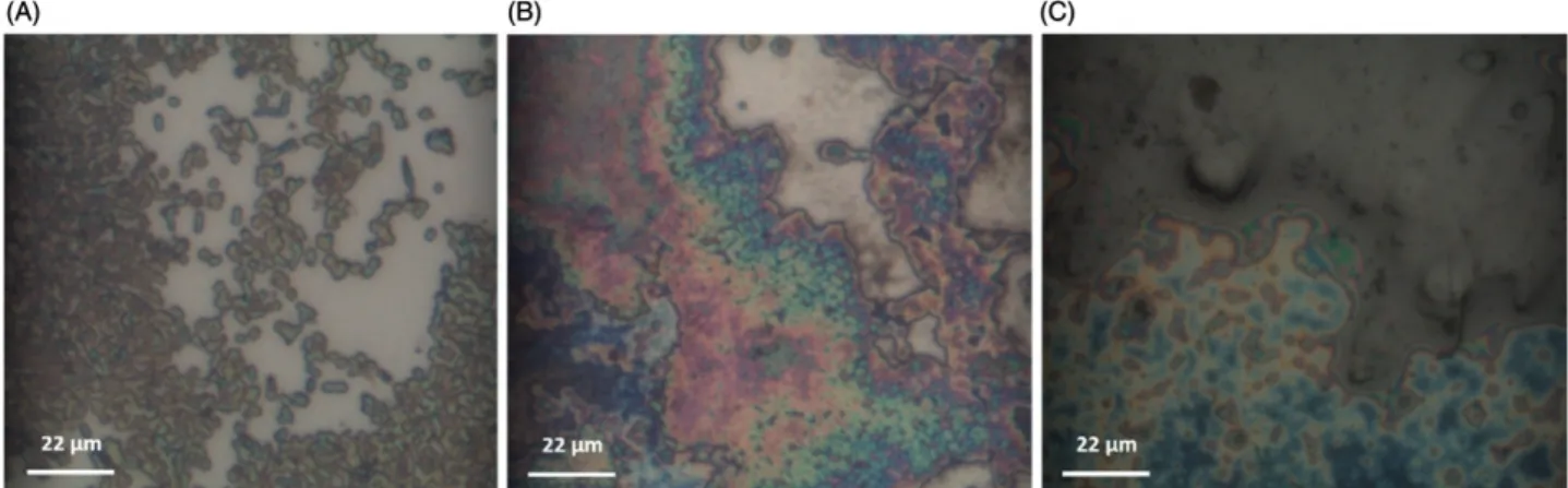 Figure 4. Representative SERS spectra: (I) E. coli K12 on the substrate (silica) surfaces; (II) E