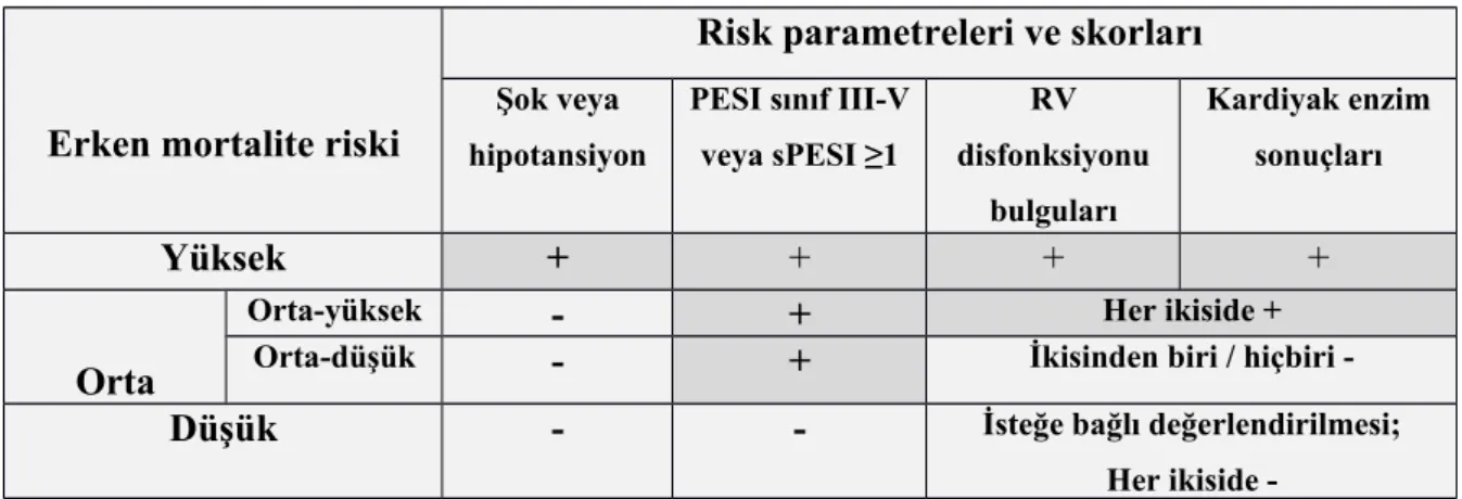 Tablo 6.Prognostik Değerlendirme İçin Öneriler