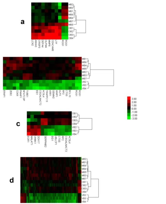 Fig 4. Dendrogram and heatmap representations of the results of the cluster analysis “MB &amp; OB” (a), “MB &amp; VB” (b), “OB &amp; VB” (c), and “MB &amp; OB &amp; VB ” (d)
