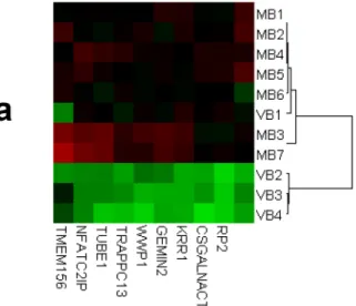 Fig 2. Dendrogram and heatmap representations of the results of the initial cluster analysis “MB &amp; VB” (a) and “MB &amp; OB &amp; VB” (b)