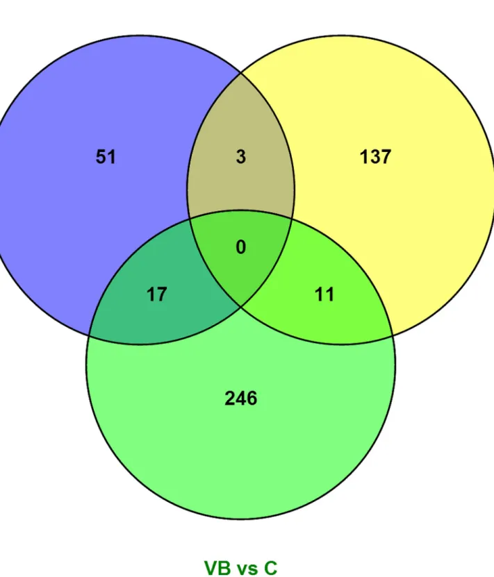 Fig 3. Venn diagram representation of the class comparisons MB vs C, OB vs C, and VB vs C