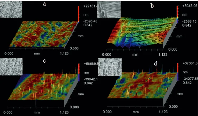Figure 4. Three-dimensional oblique surface plots (interferograms) of a representative specimen from the monolithic-zirconia group conditioned with (a) Al 2 O 3 , (b) diamond bur, (c) Cojet, (d) HF acid