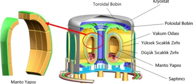 Şekil 2.5. TOKAMAK’ın temsili resmi [5] 
