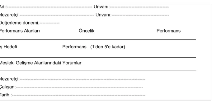 Çizelge 8. AGY değerleme formu 