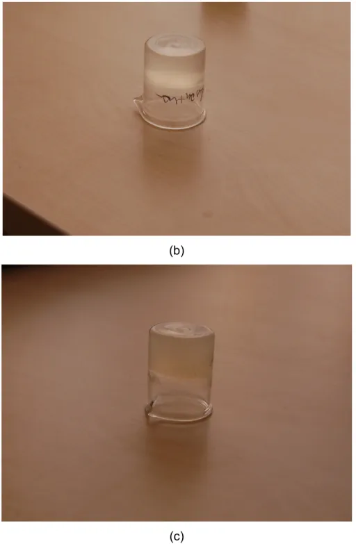 Şekil 3.4  (a) 5 g/l derişimindeki ksantan gam hidrojelinin sertleşme sonrası hali,  (b) 10 g/l derişimindeki ksantan gam hidrojelinin sertleşme sonrası hali, (c) 20 g/l  derişimindeki ksantan gam hidrojelinin sertleşme sonrası hali