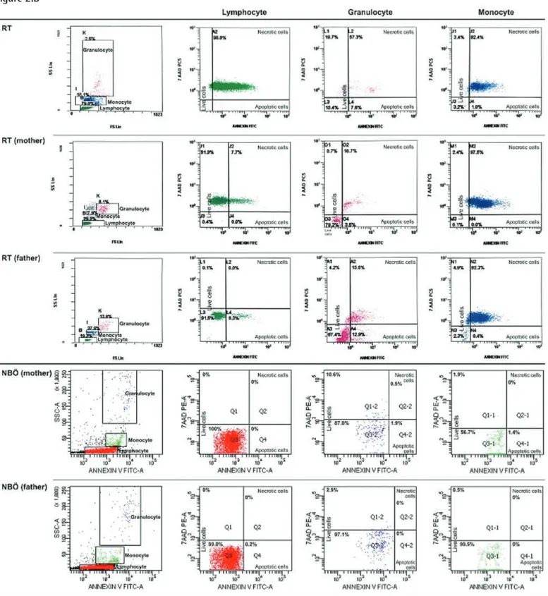 Figure 2. Continued.  FACS gating and flow cytometric graphics of annexin and PI/7-AAD of lymphocytes, monocytes, and granulocytes 