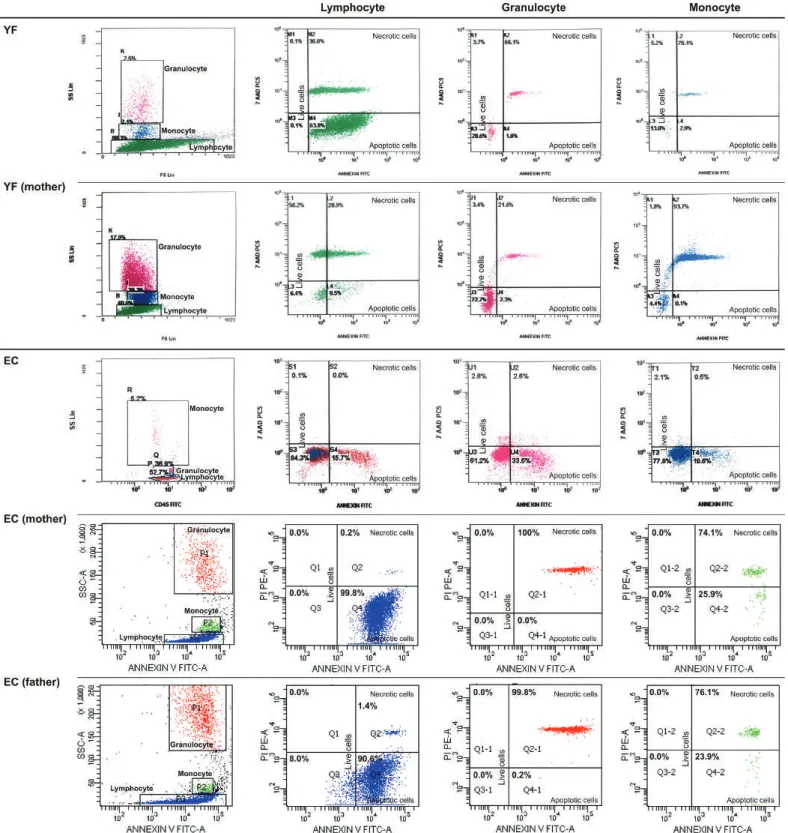 Figure 2. FACS gating and flow cytometric graphics of annexin and PI/7-AAD of lymphocytes, monocytes, and granulocytes of patients 