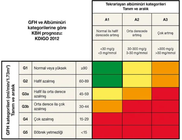 Tablo  2.1.  KDIGO  Kılavuzunda  GFH  ve  Albüminüri  Kategorilerine  Göre  Kronik  Böbrek Hastalığı Prognozu 
