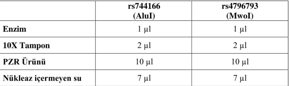 Tablo 6. rs744166 ve rs4796793 numaralı SNP’ler için uygulanan RFLP reaksiyonu içeriği  rs744166  (AluI)  rs4796793 (MwoI)  Enzim  1 µl  1 µl  10X Tampon  2 µl  2 µl  PZR Ürünü  10 µl  10 µl  Nükleaz içermeyen su  7 µl  7 µl 