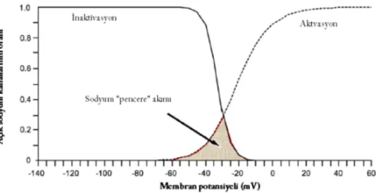 Şekil 2.2 Sodyum pencere akımı 
