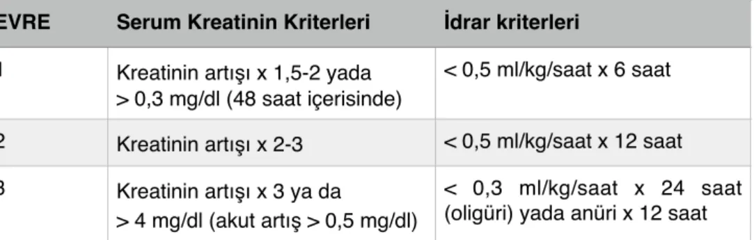 Tablo 2.2 AKIN kriterlerinin evrelemesi 