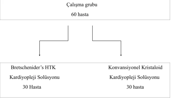 Şekil 3.1 Çalışma grupları