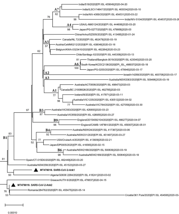 Figure 3. Phylogenetic analysis of the SARS-CoV-2 isolates. The evolutionary history was inferred using the Neighbor-Joining method ( Saitou and Nei, 1987 )
