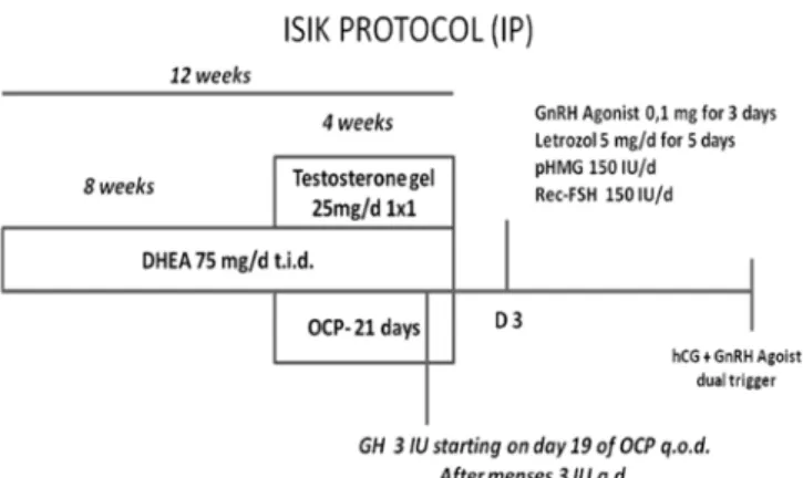 Figure 1. ISIK protocol schematic view