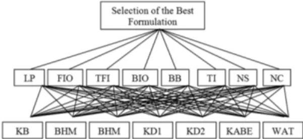 Fig. 2. The decision hierarchy of the selection of the formulations