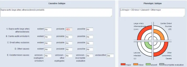 Figure 1. Etiologic and phenotypic subtype of stroke etiology according to CCS classification: as an example case in which language  consensus between CCS and clinicians is provided is a 49-year-old patient, with internal border zone infarctions on the lef